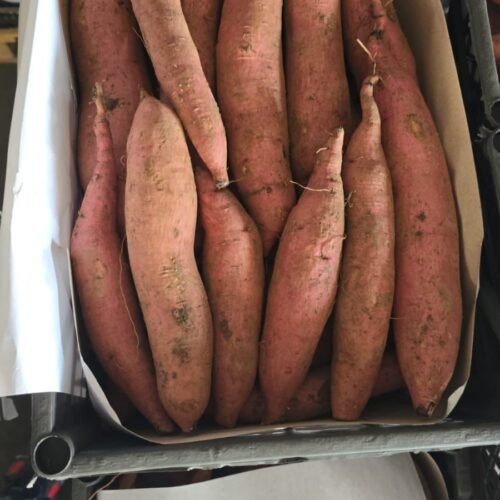 sweet potatoes (4)