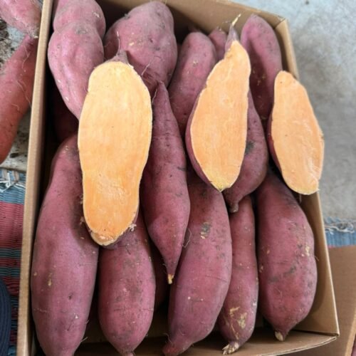 sweet potatoes (5)